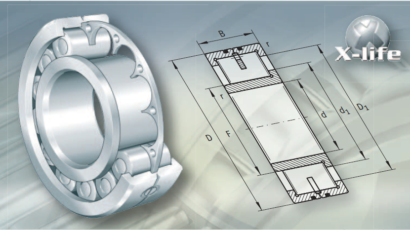 FAG帶圓盤(pán)式保持架的圓柱滾子軸承