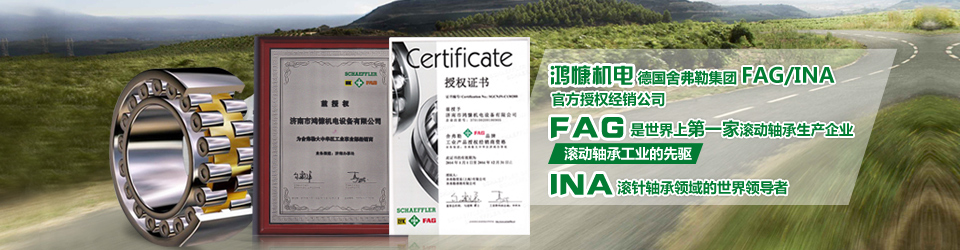 濟南進(jìn)口軸承